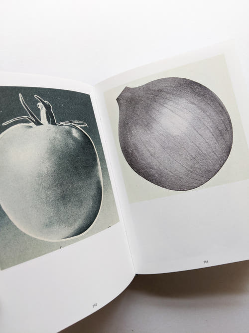 The Oldest Thing / Ruth van Beek