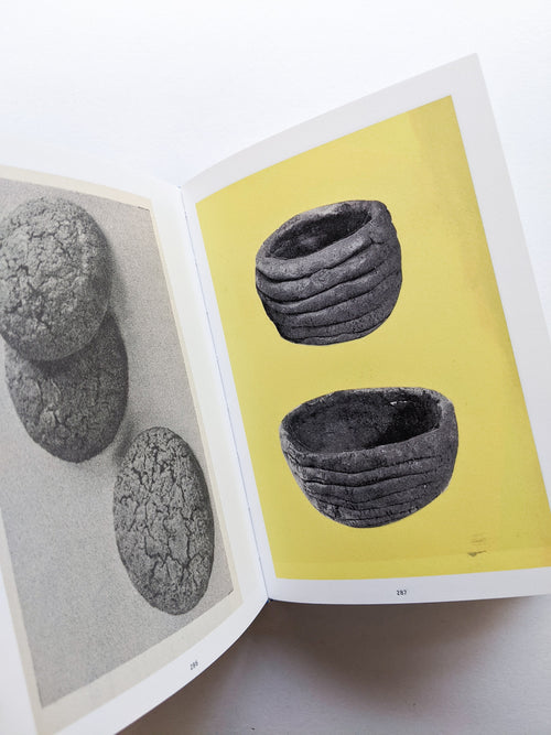 The Oldest Thing / Ruth van Beek