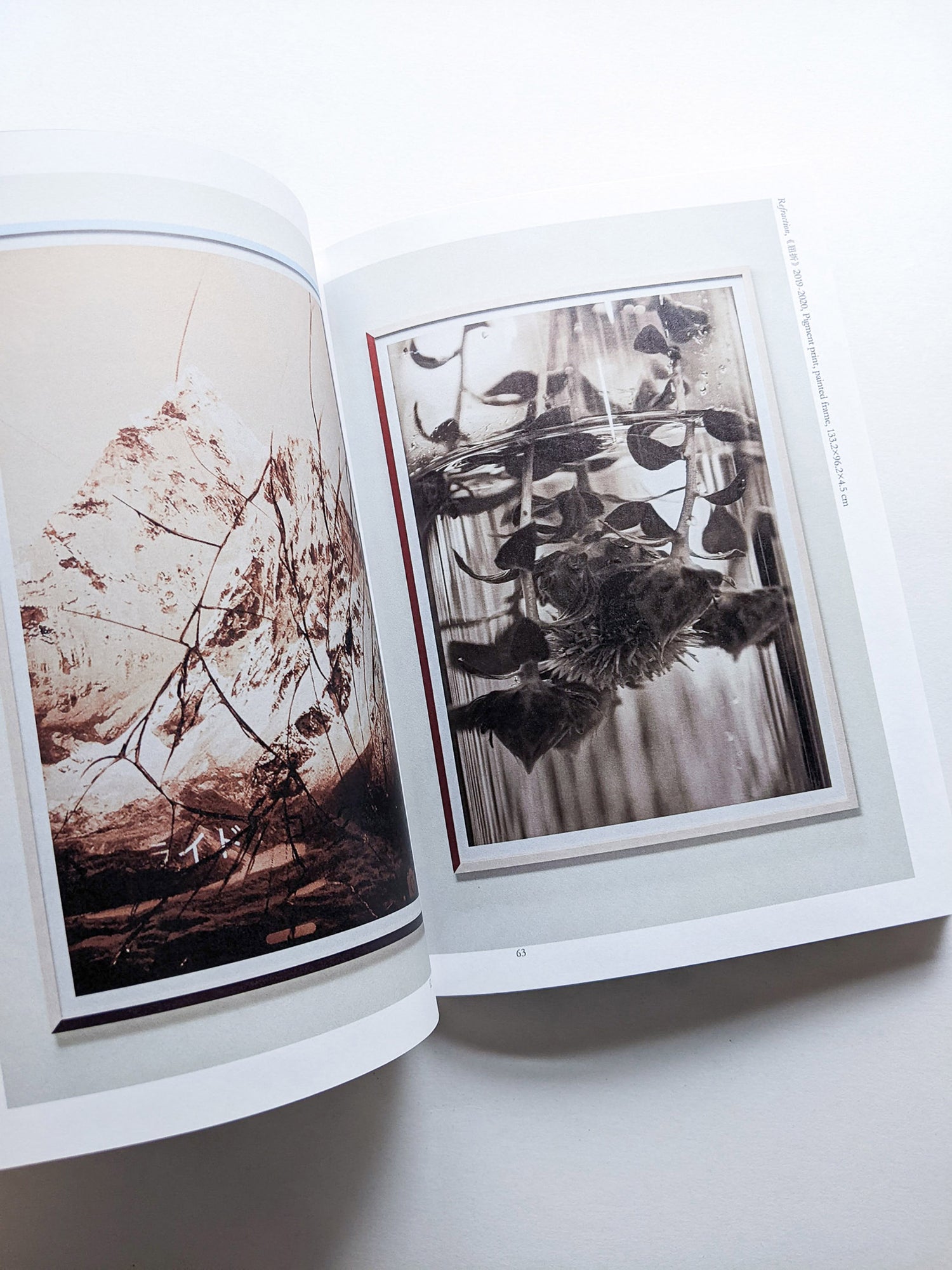 Find Your Verb / Isoya Hirofumi [SIGNED]