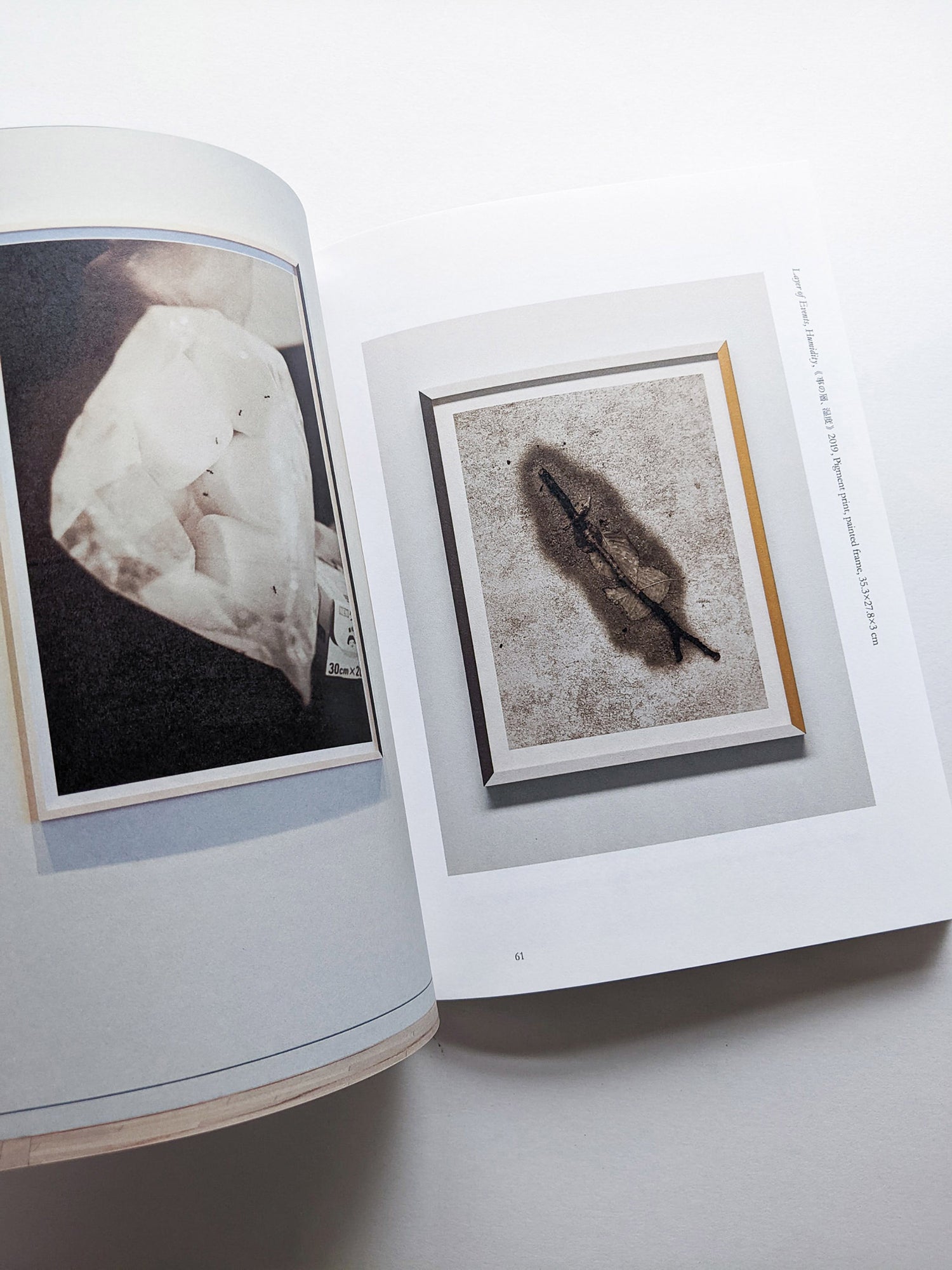 Find Your Verb / Isoya Hirofumi [SIGNED]