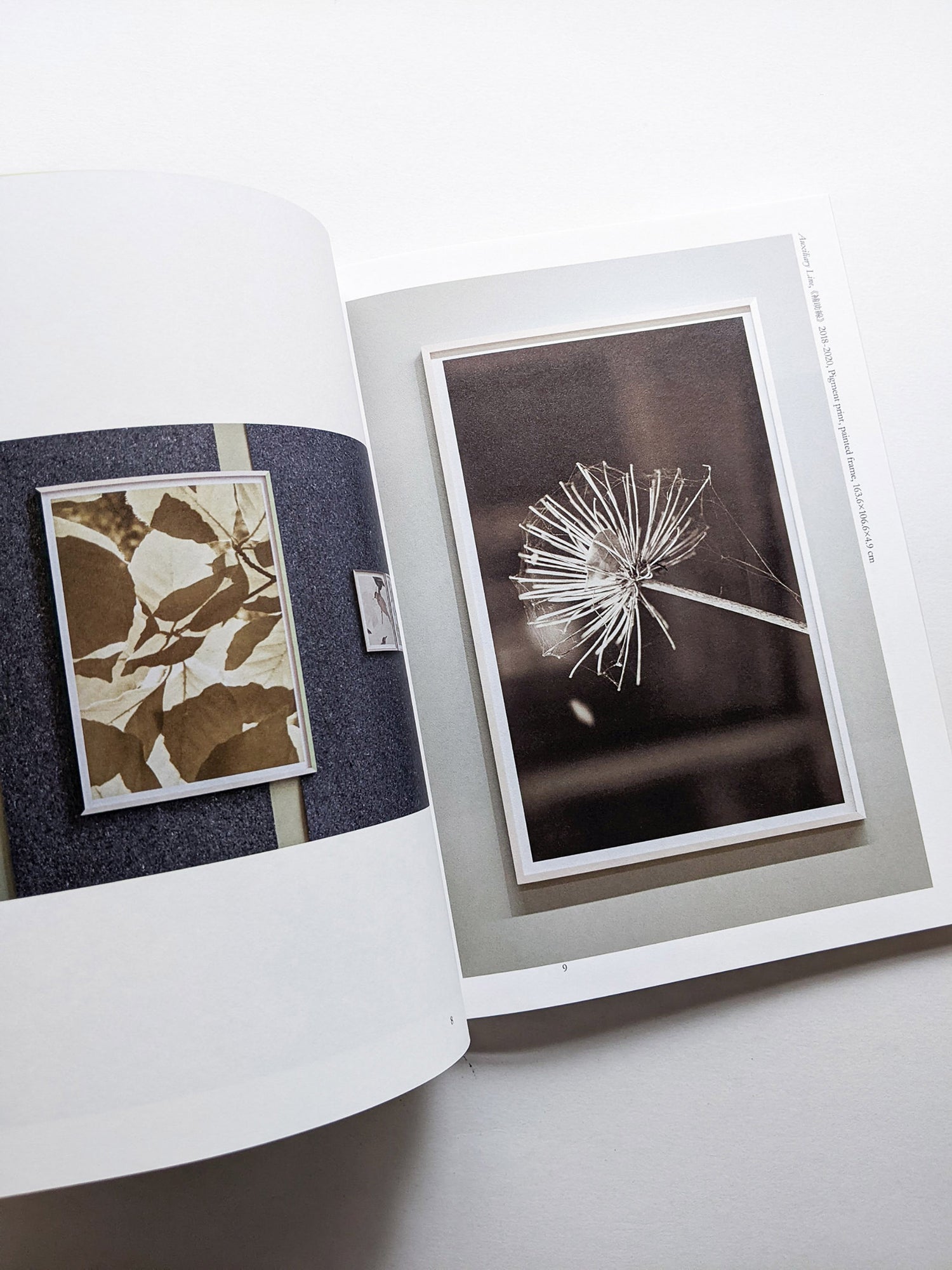 Find Your Verb / Isoya Hirofumi [SIGNED]