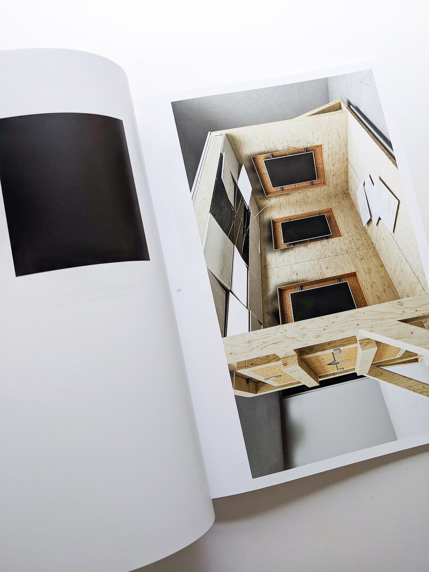 SCREENSAVERS. ANONYMOUS CLUB ARCHIVE 2017-2021 / Shayne Oliver