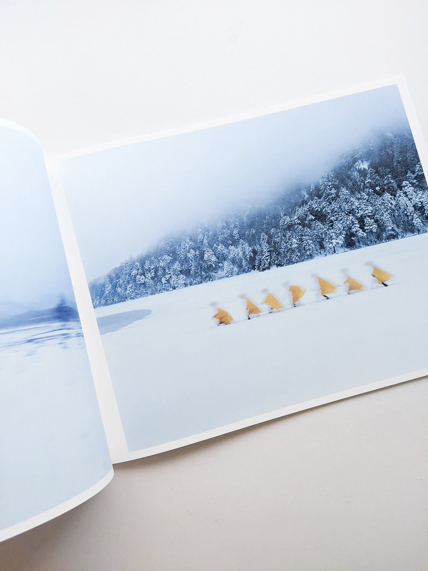 Assembly snow / Osamu Yokonami