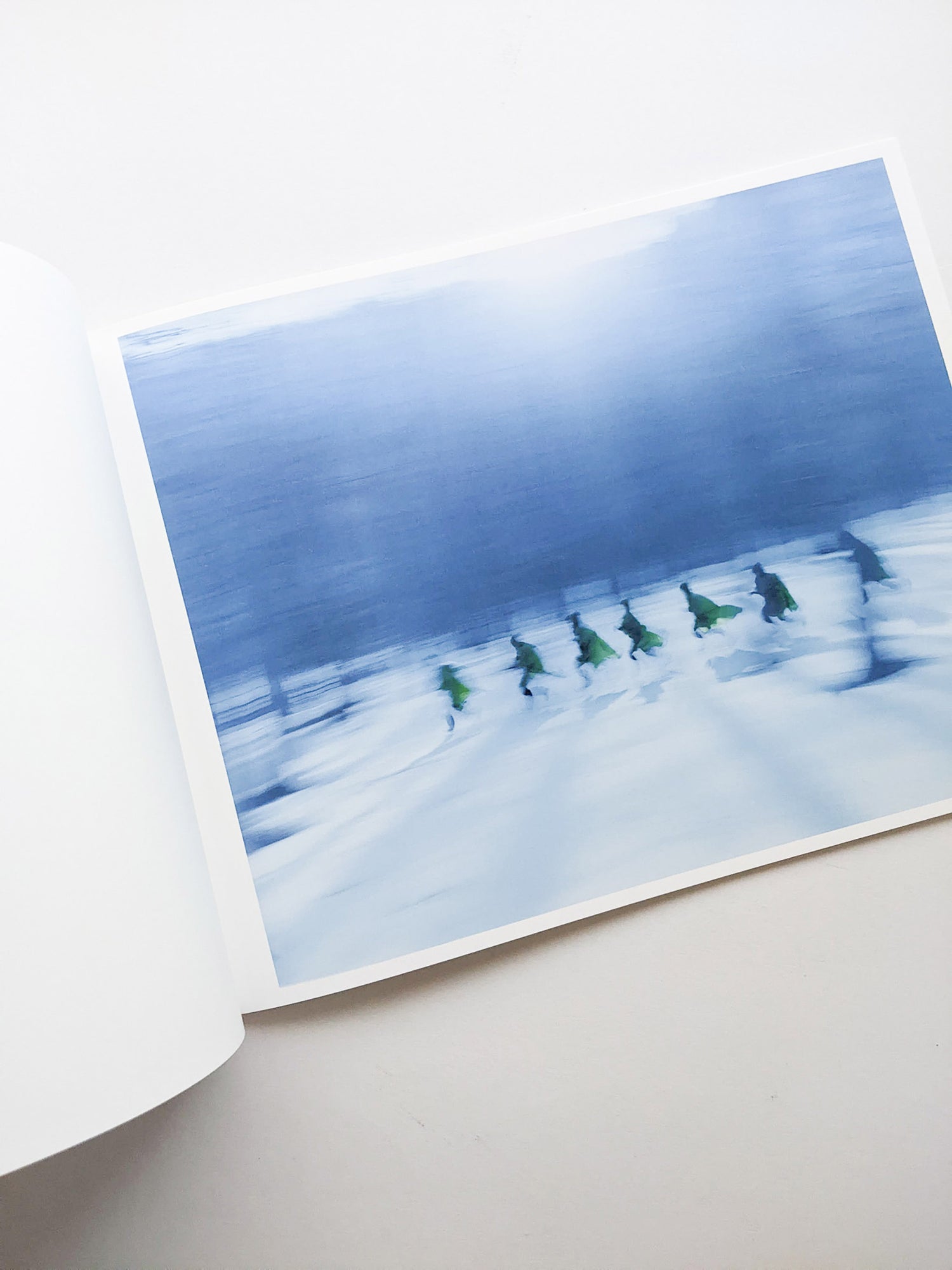 Assembly snow / Osamu Yokonami