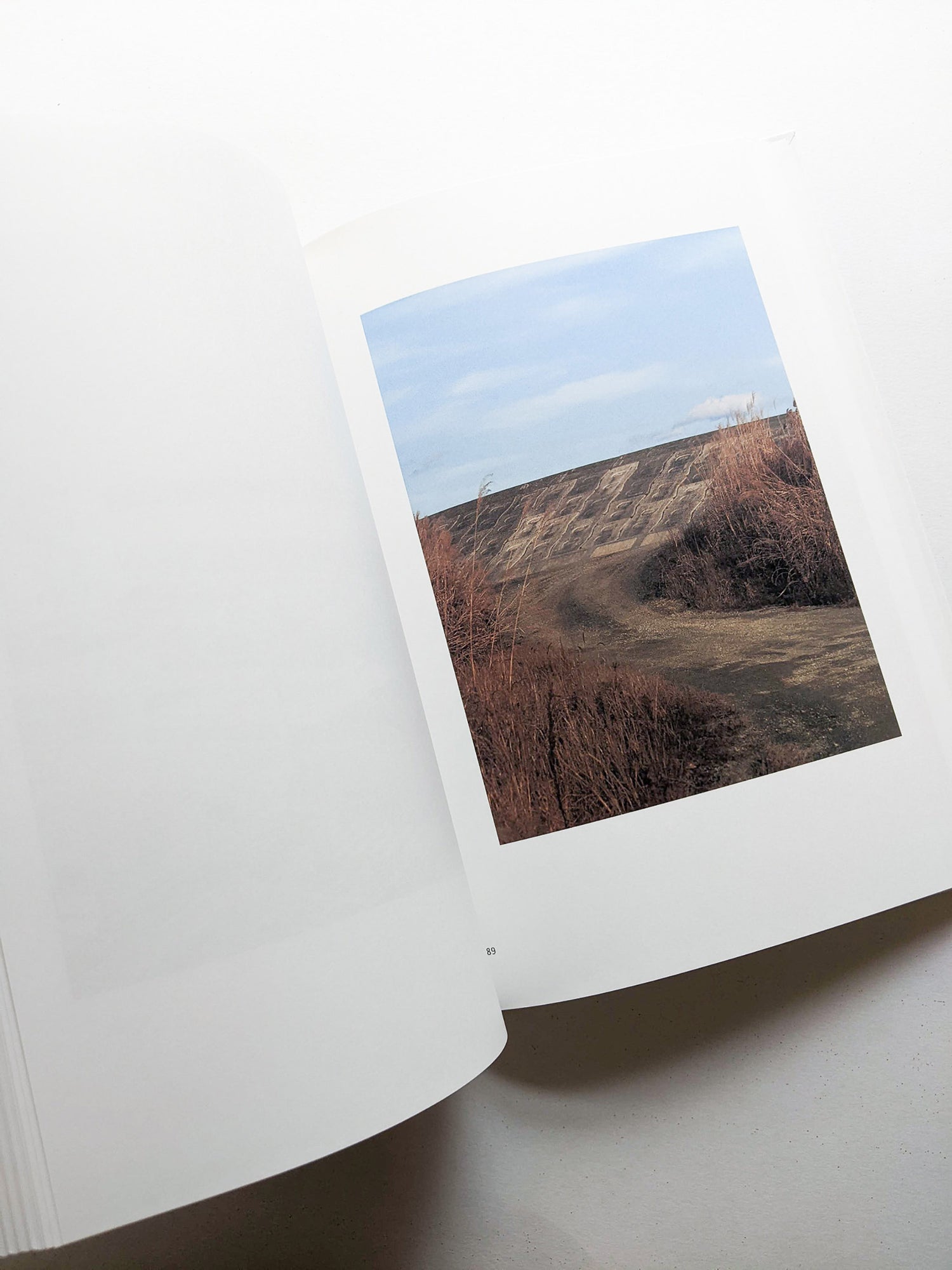 New Habitations: from North to East 11 years after 3.11