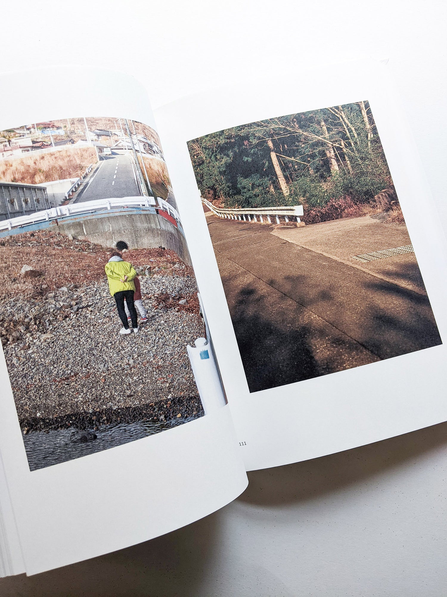 New Habitations: from North to East 11 years after 3.11