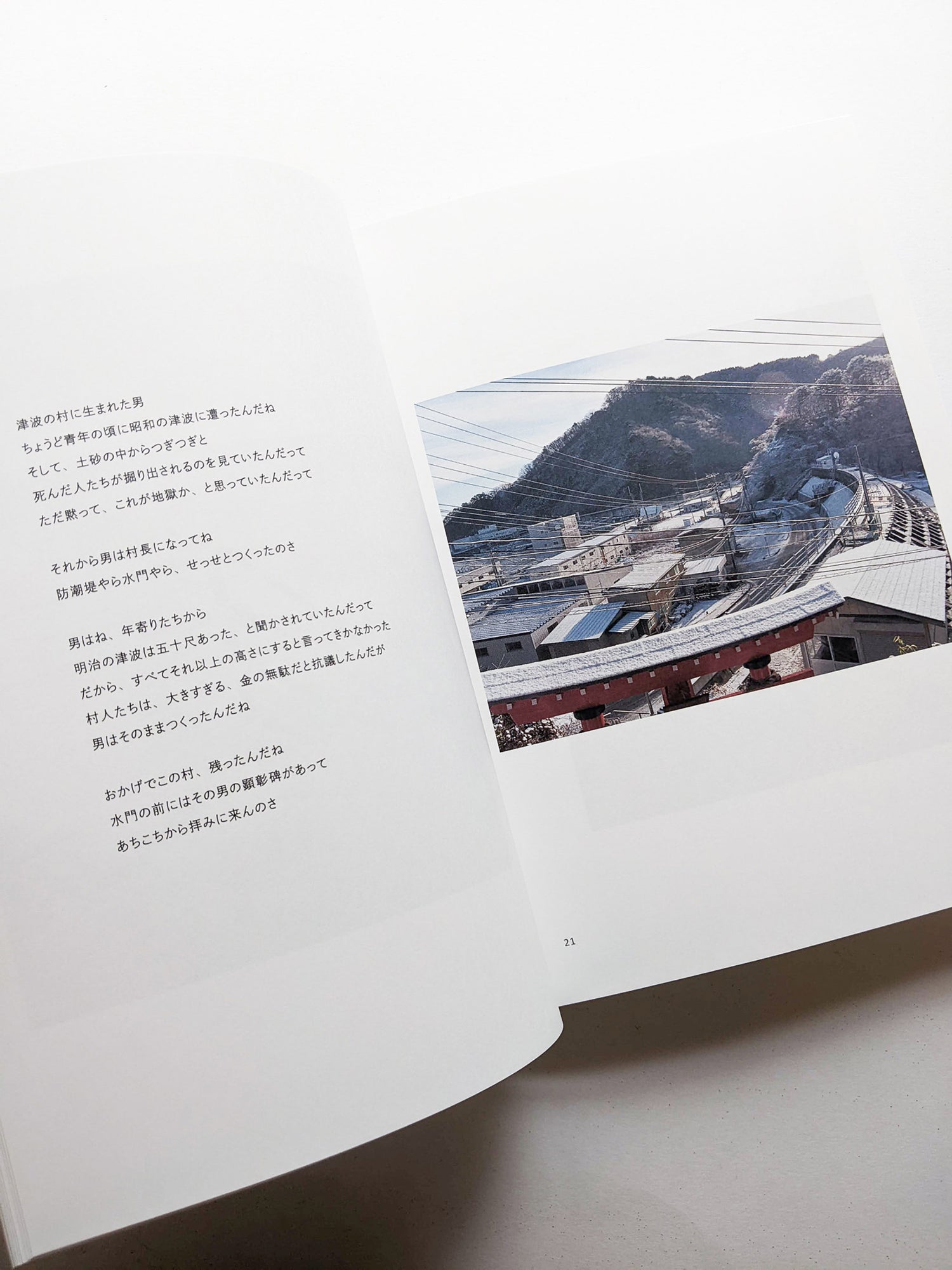 New Habitations: from North to East 11 years after 3.11