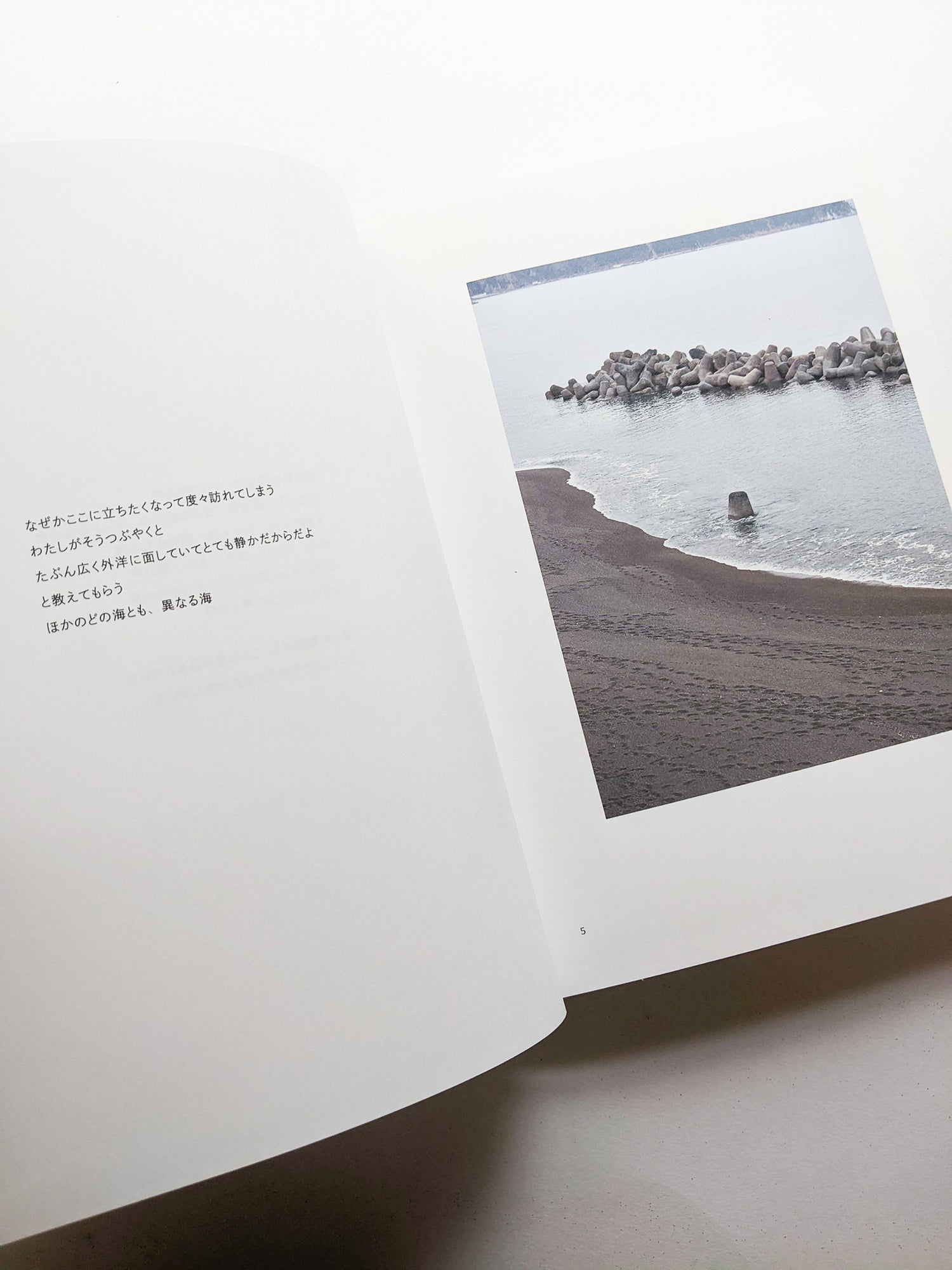 New Habitations: from North to East 11 years after 3.11