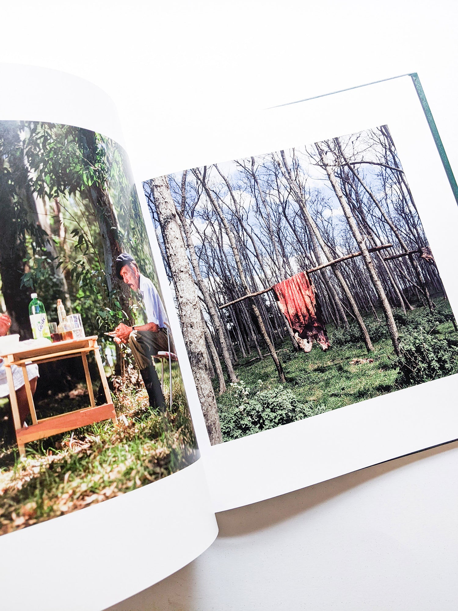 ON THE SIXTH DAY / Alessandra Sanguinetti [SIGNED]