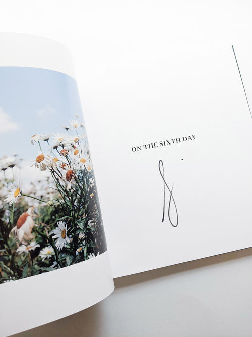 ON THE SIXTH DAY / Alessandra Sanguinetti [SIGNED]