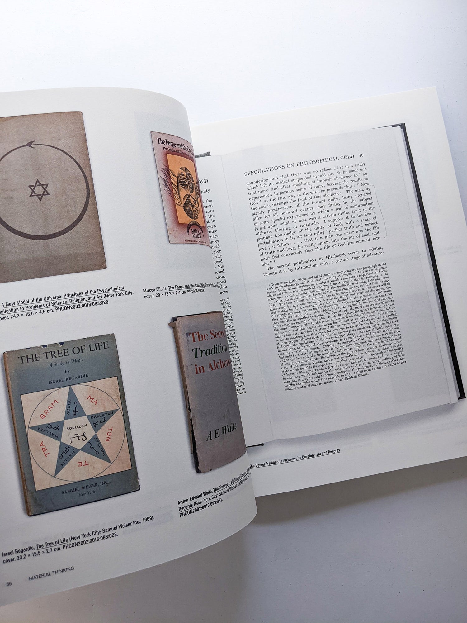 CP138 GORDON MATTA-CLARK: READINGS OF THE ARCHIVE / Gordon Matta-Clark