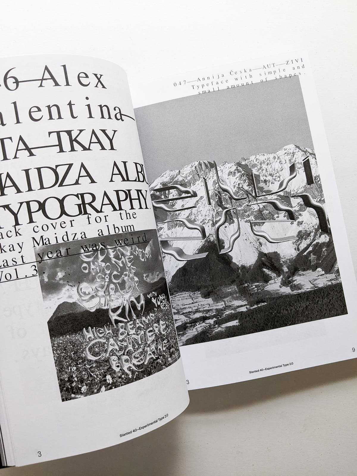 Slanted #40 Experimental Type 2.0 (extended bw reprint)