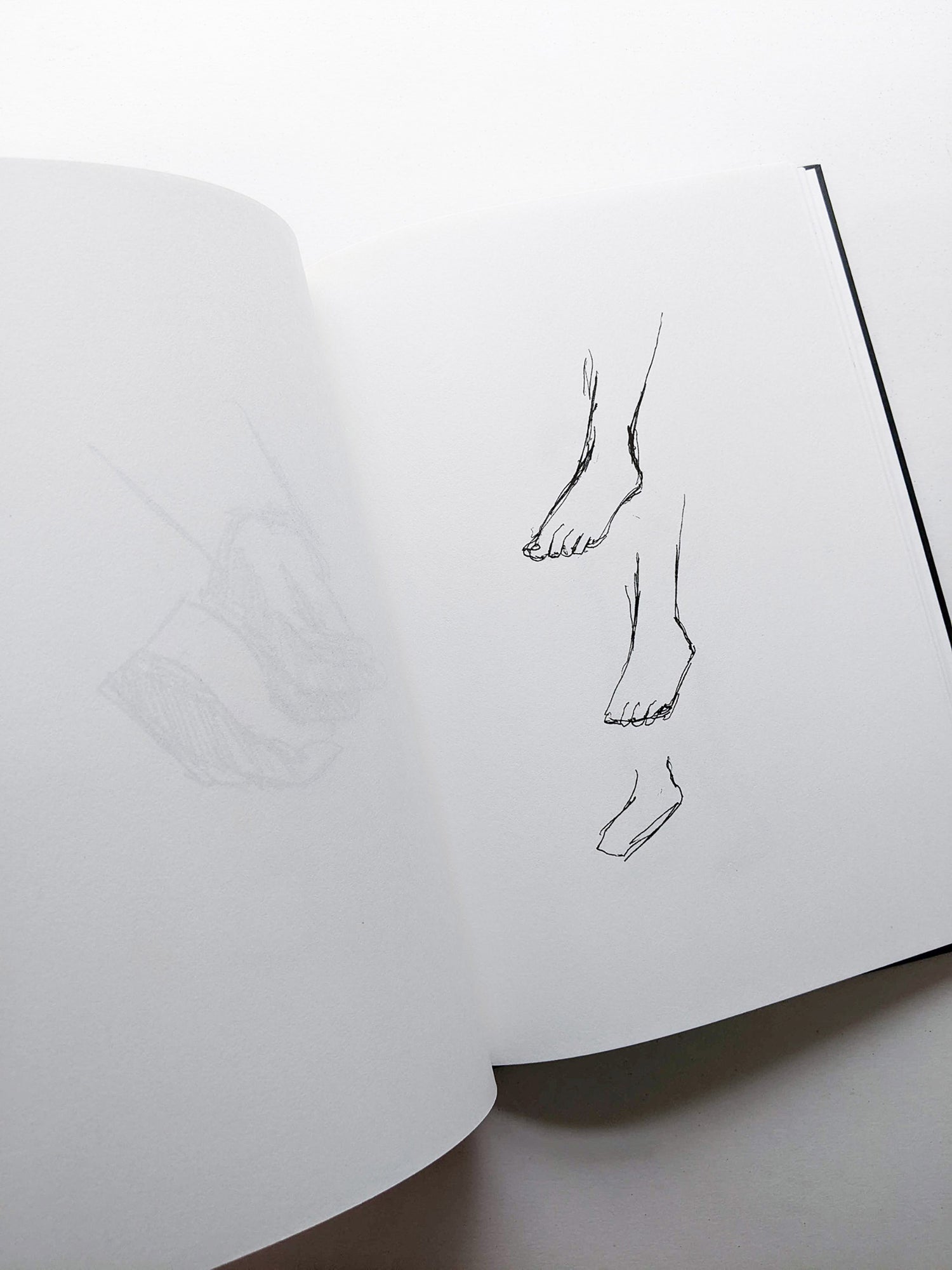 KATZ / Alex Katz, Vincent Katz