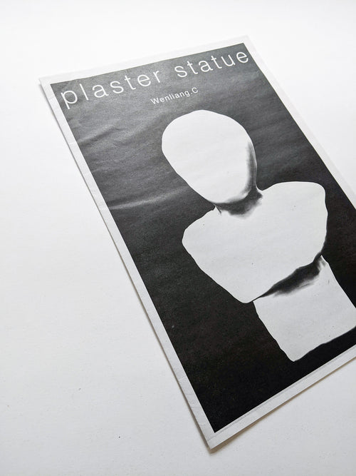 plaster statue / Wenliang.C