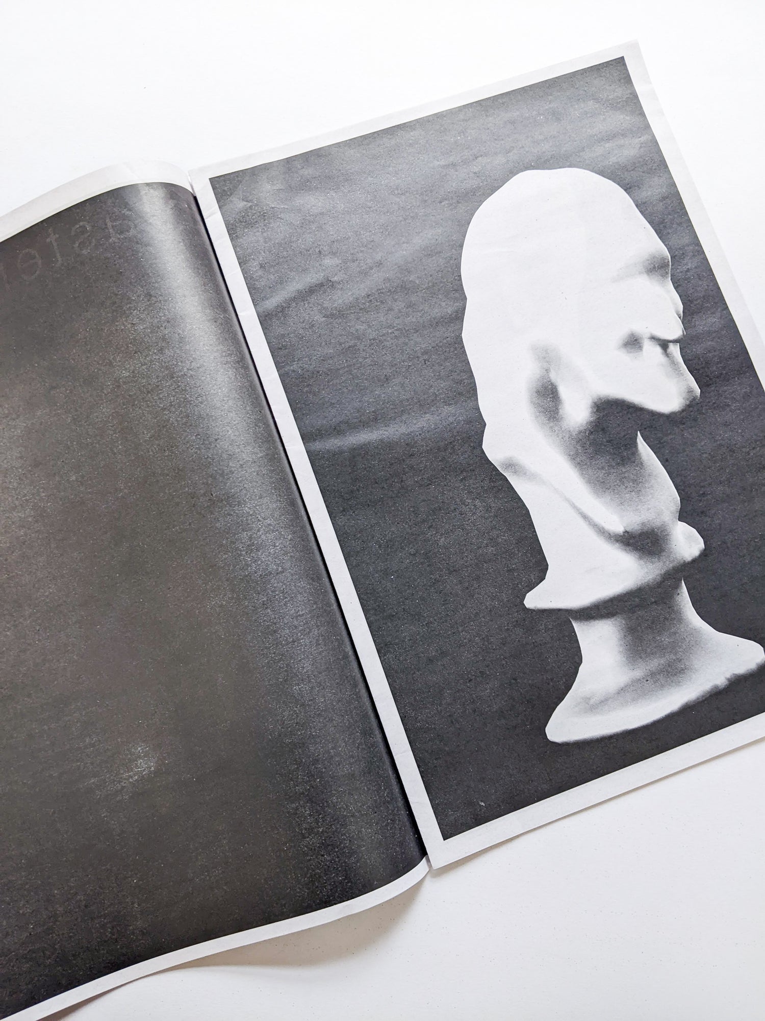 plaster statue / Wenliang.C