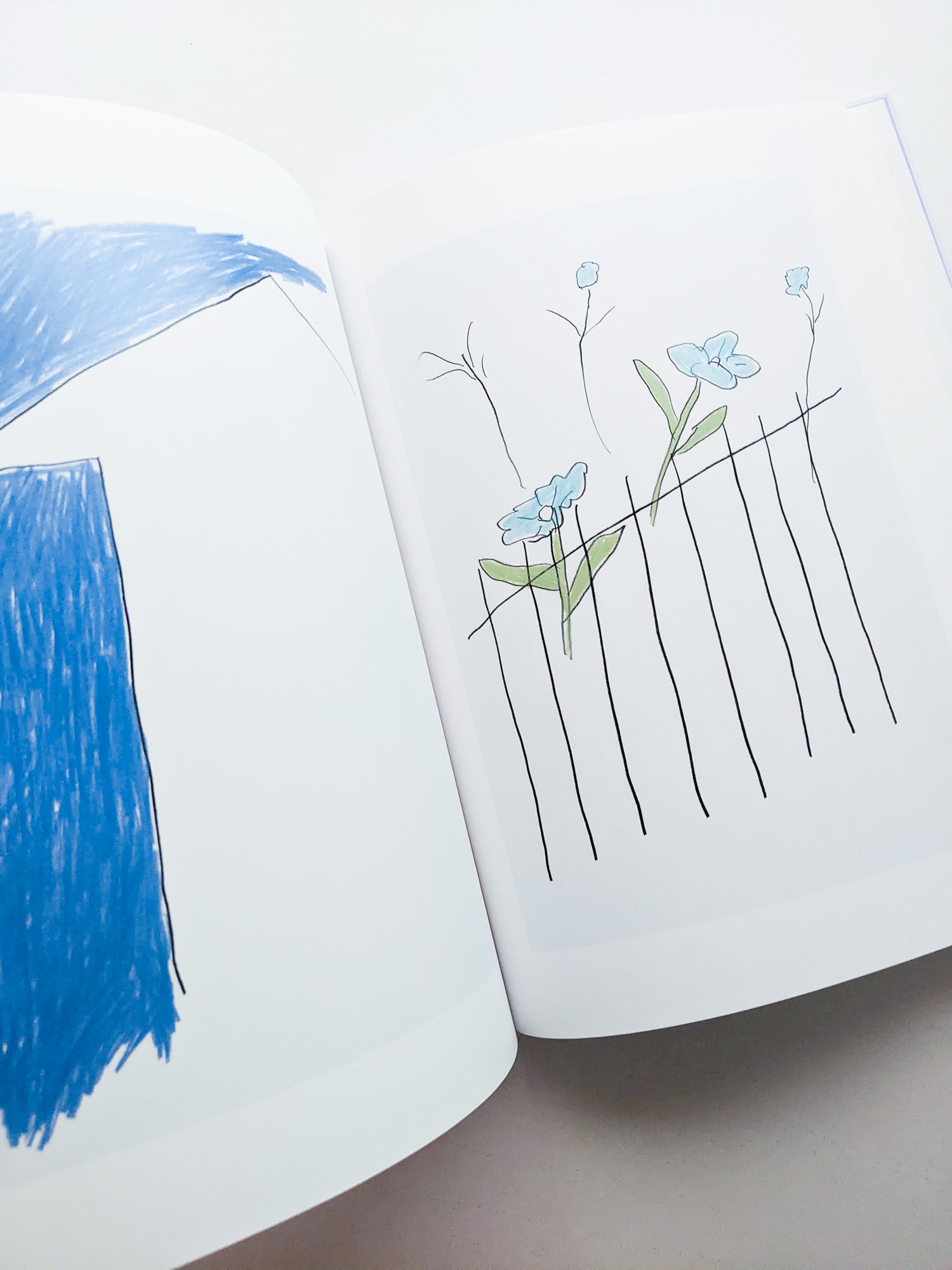 輪郭をなぞる / Tomo Ando