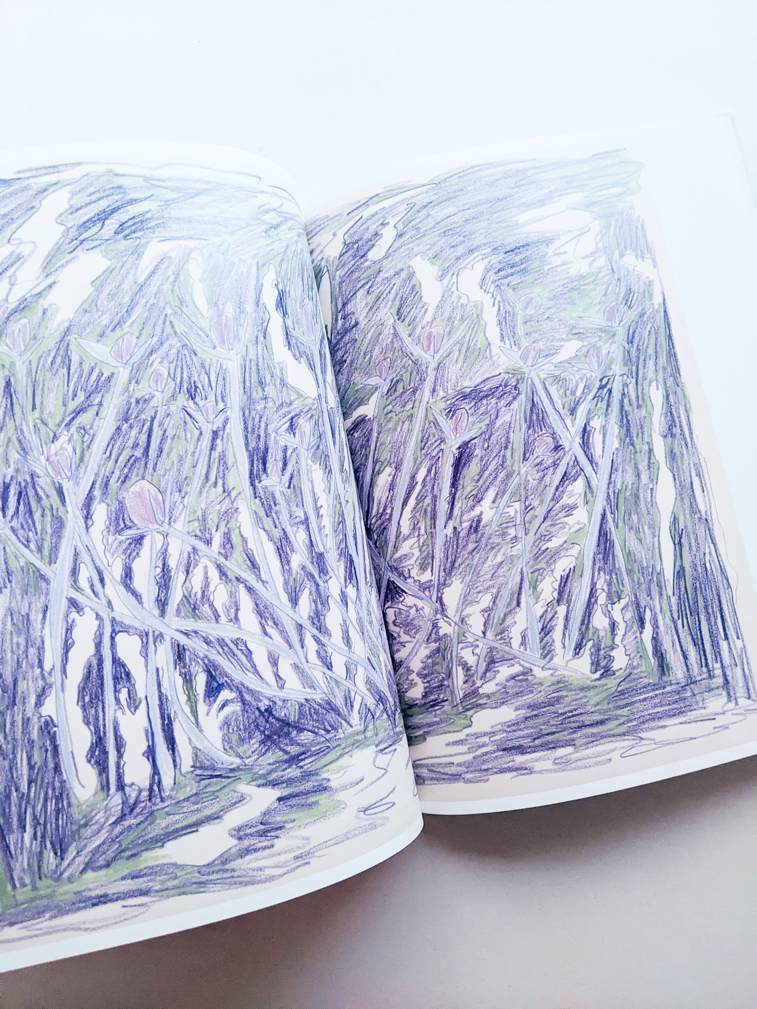 輪郭をなぞる / Tomo Ando