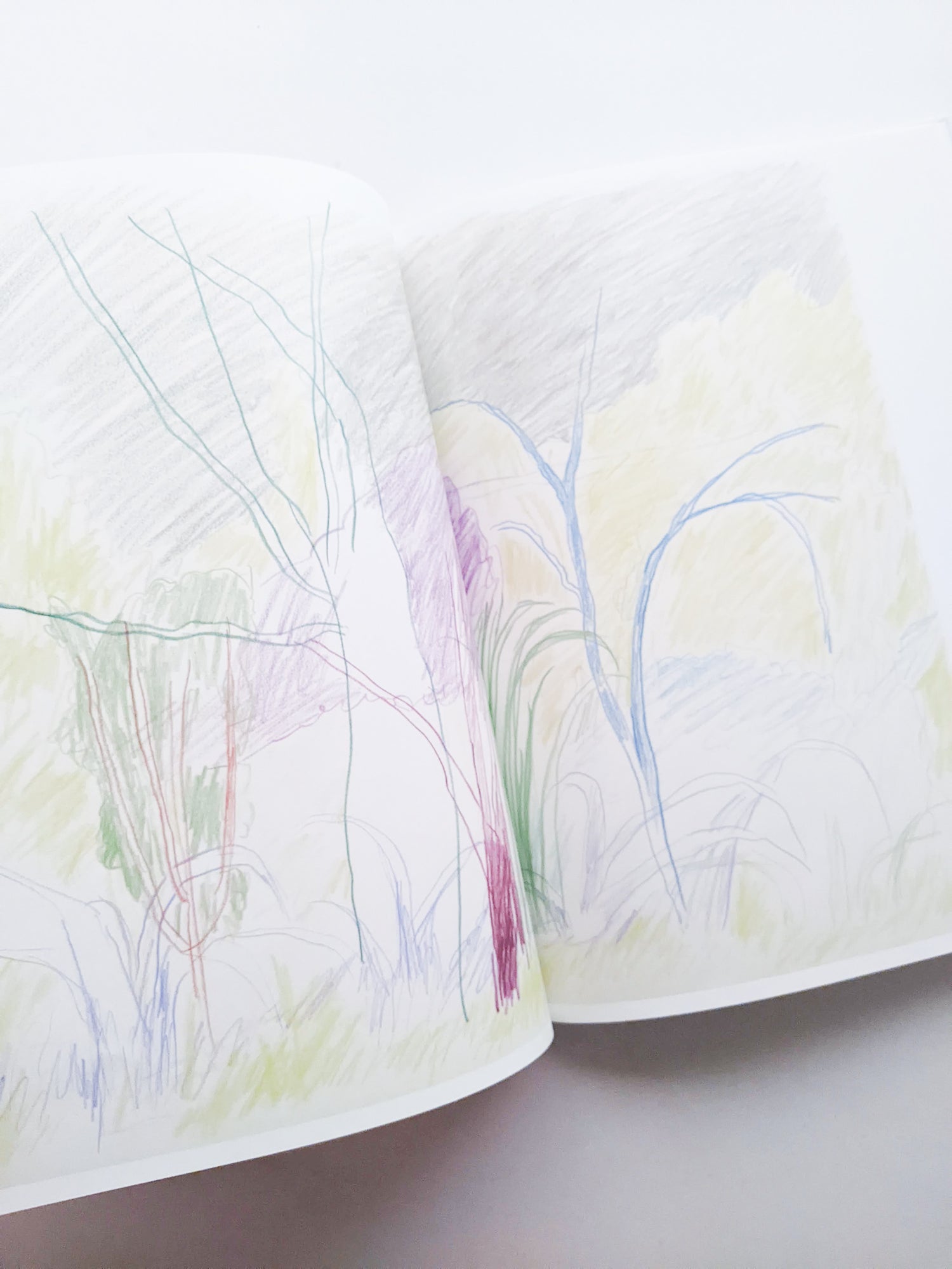 輪郭をなぞる / Tomo Ando