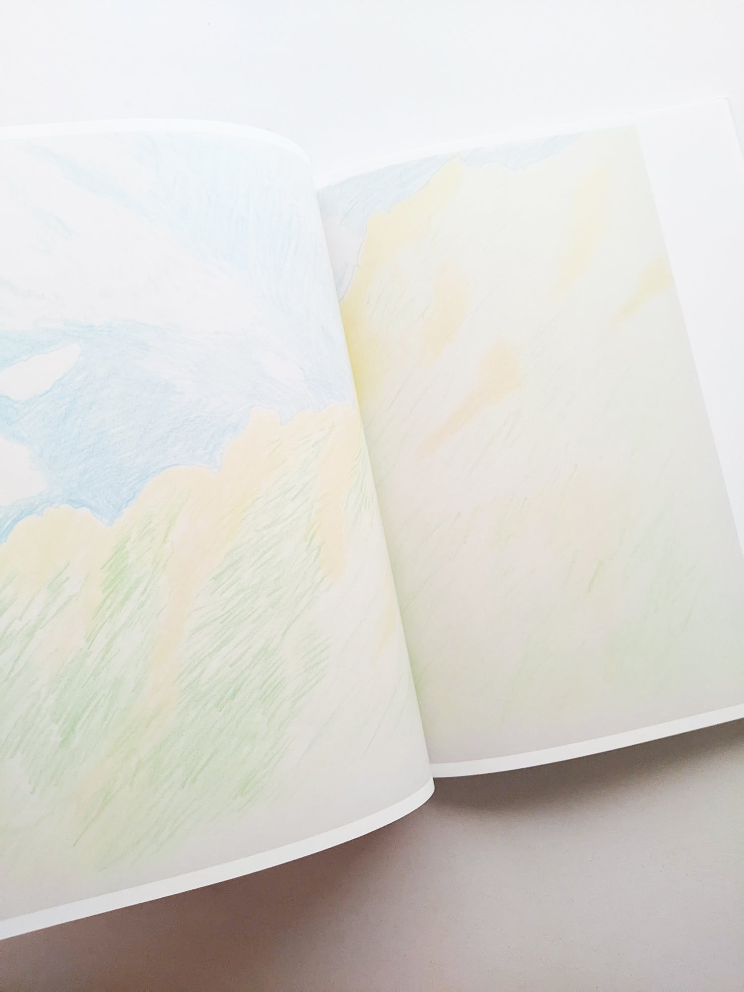 輪郭をなぞる / Tomo Ando