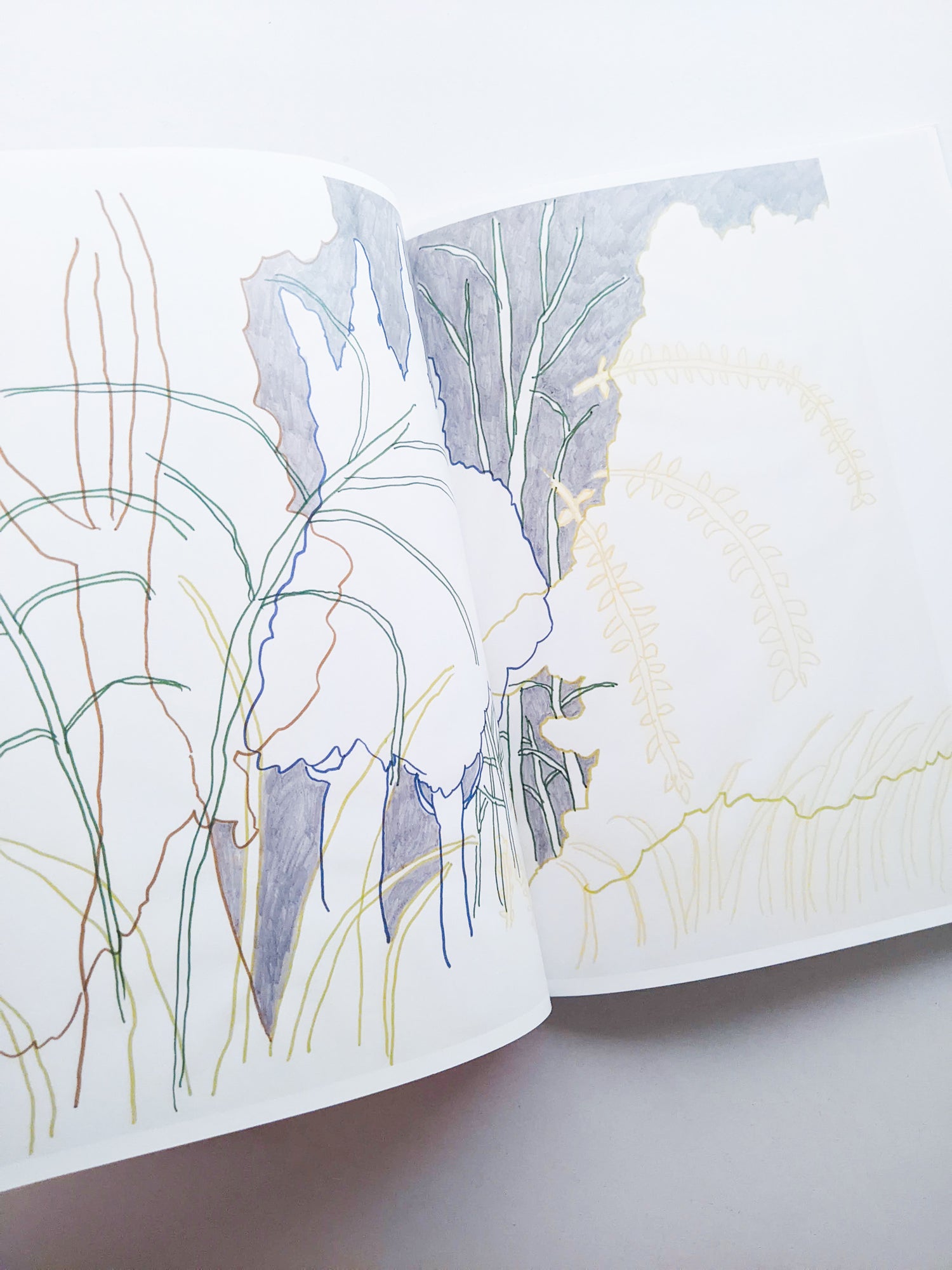 輪郭をなぞる / Tomo Ando