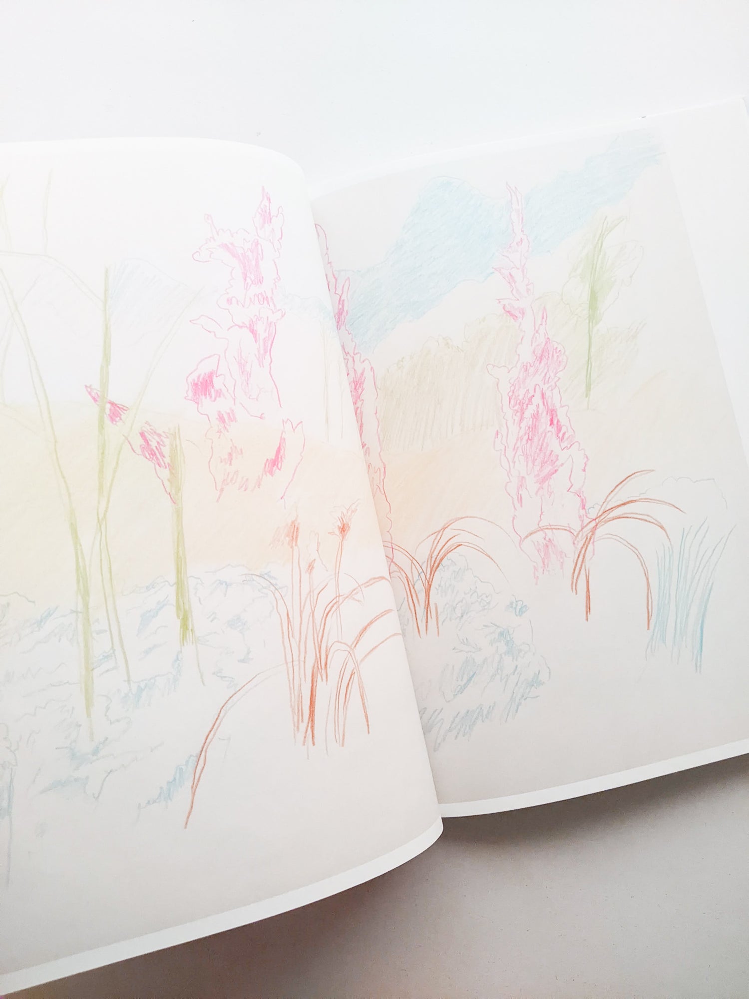 輪郭をなぞる / Tomo Ando