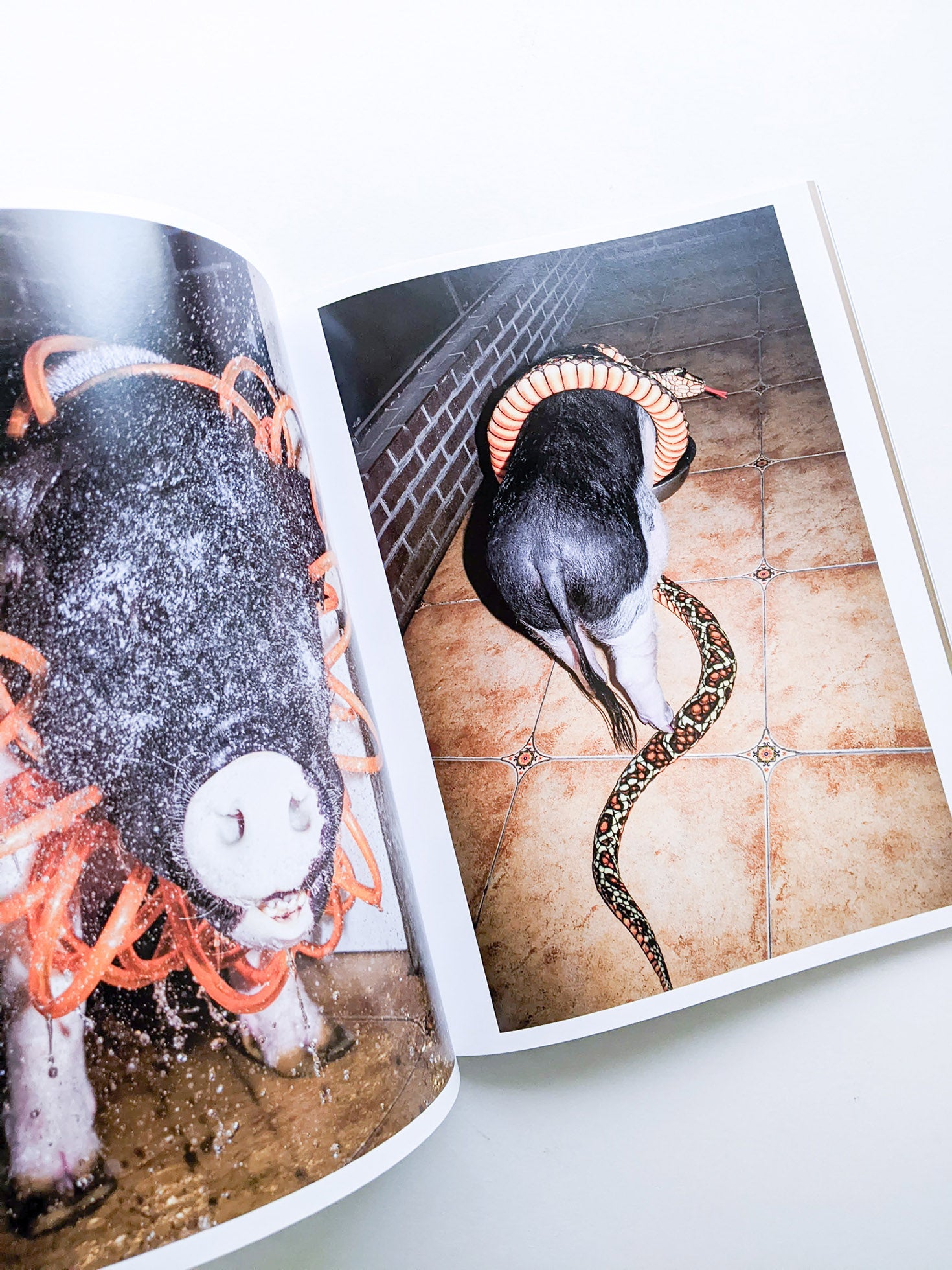 CLOSING CEREMONY Magazine 03: Smile Issue [cover: Feng Li Cover]