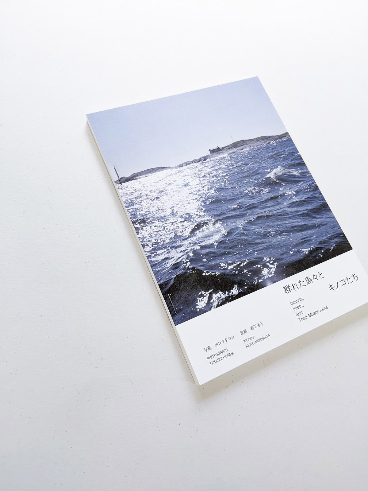 群れた島々と キノコたち / Islands, Islets, and Their Mushrooms