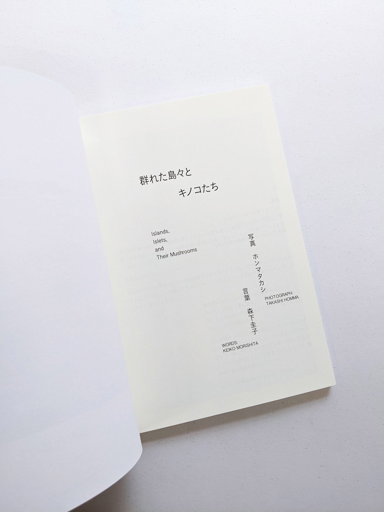群れた島々と キノコたち / Islands, Islets, and Their Mushrooms