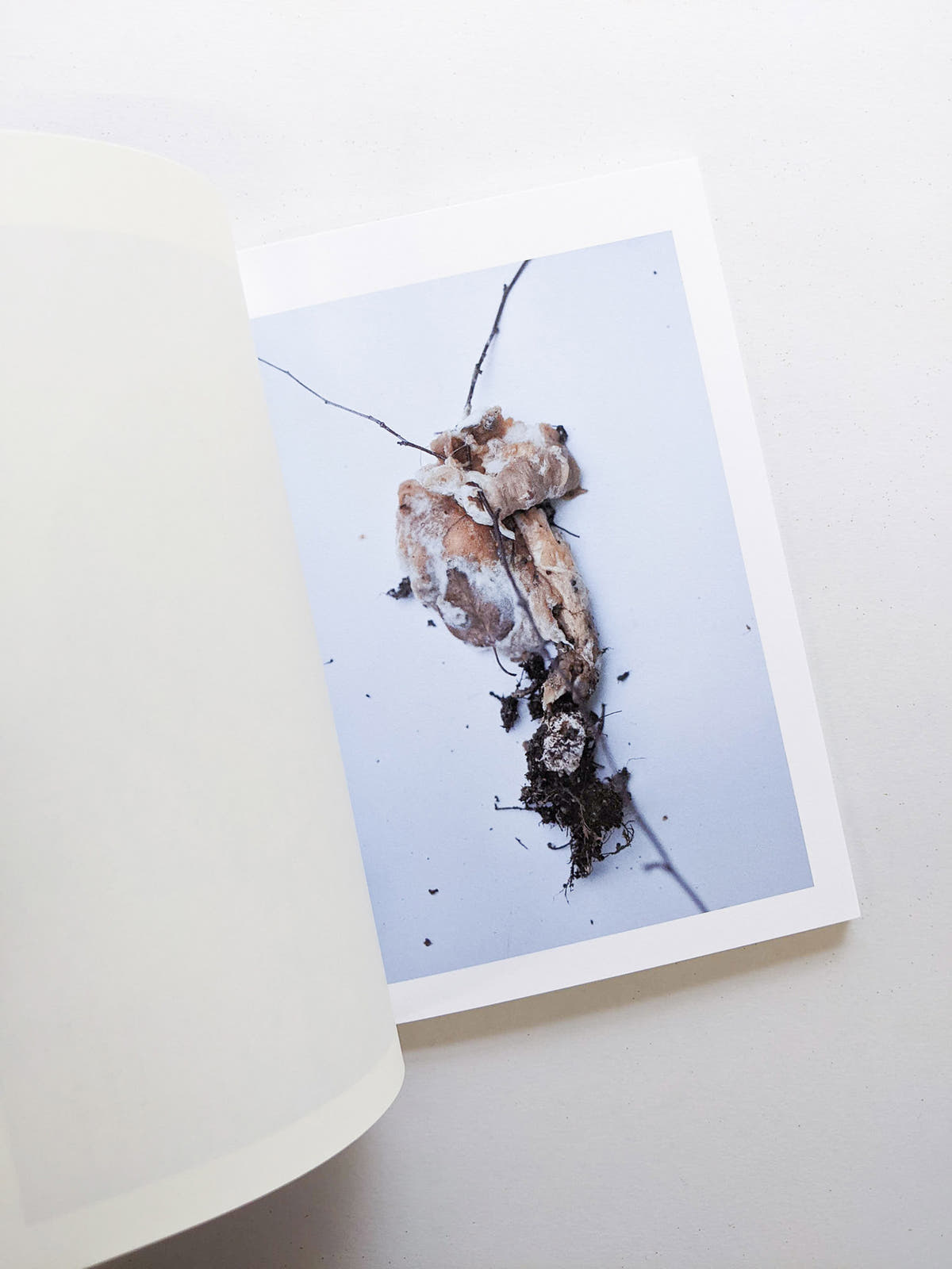 群れた島々と キノコたち / Islands, Islets, and Their Mushrooms [Cut print edition]