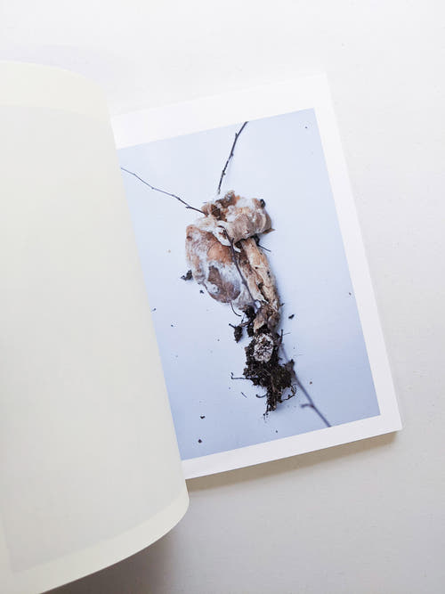 群れた島々と キノコたち / Islands, Islets, and Their Mushrooms [Cut print edition]