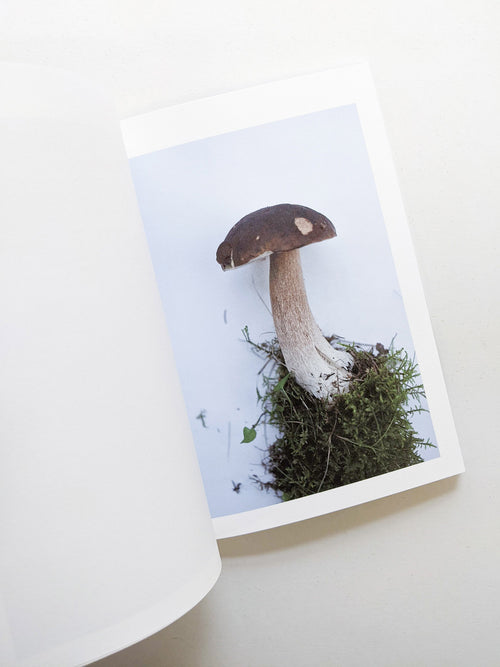 群れた島々と キノコたち / Islands, Islets, and Their Mushrooms