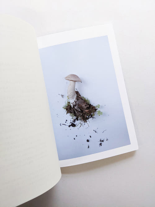群れた島々と キノコたち / Islands, Islets, and Their Mushrooms [Cut print edition]