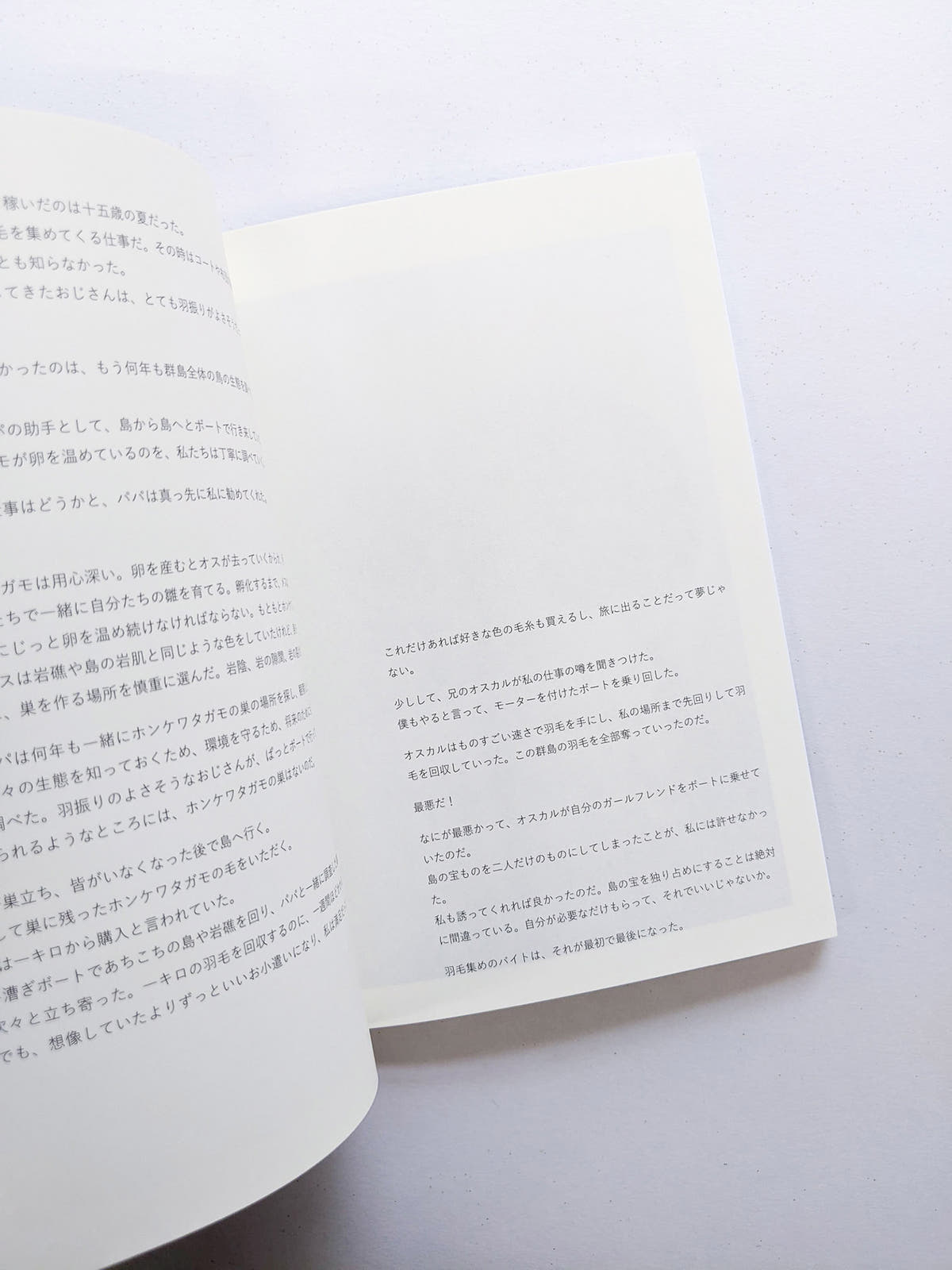 群れた島々と キノコたち / Islands, Islets, and Their Mushrooms