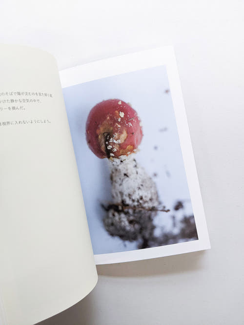 群れた島々と キノコたち / Islands, Islets, and Their Mushrooms [Cut print edition]