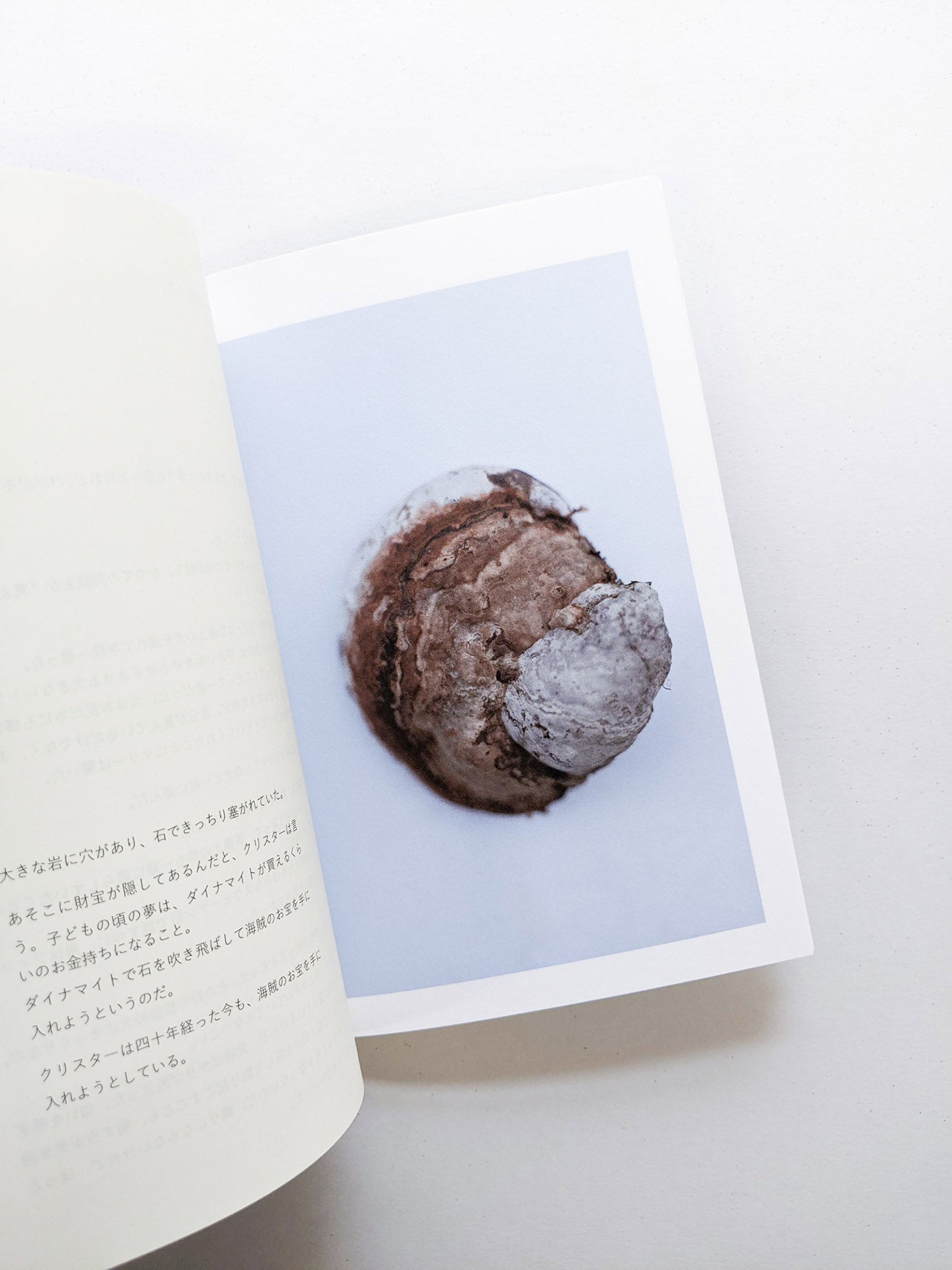 群れた島々と キノコたち / Islands, Islets, and Their Mushrooms