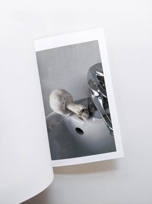 群れた島々と キノコたち / Islands, Islets, and Their Mushrooms