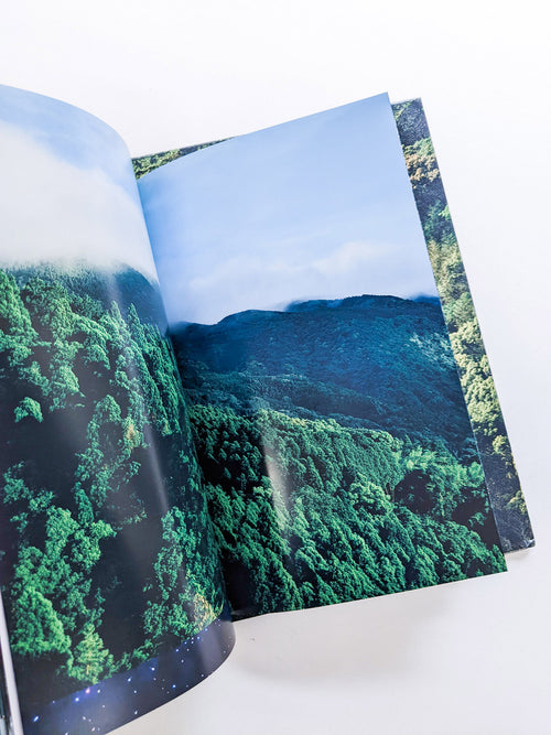 WARP AND WOOF / Hiroyuki Takenouchi