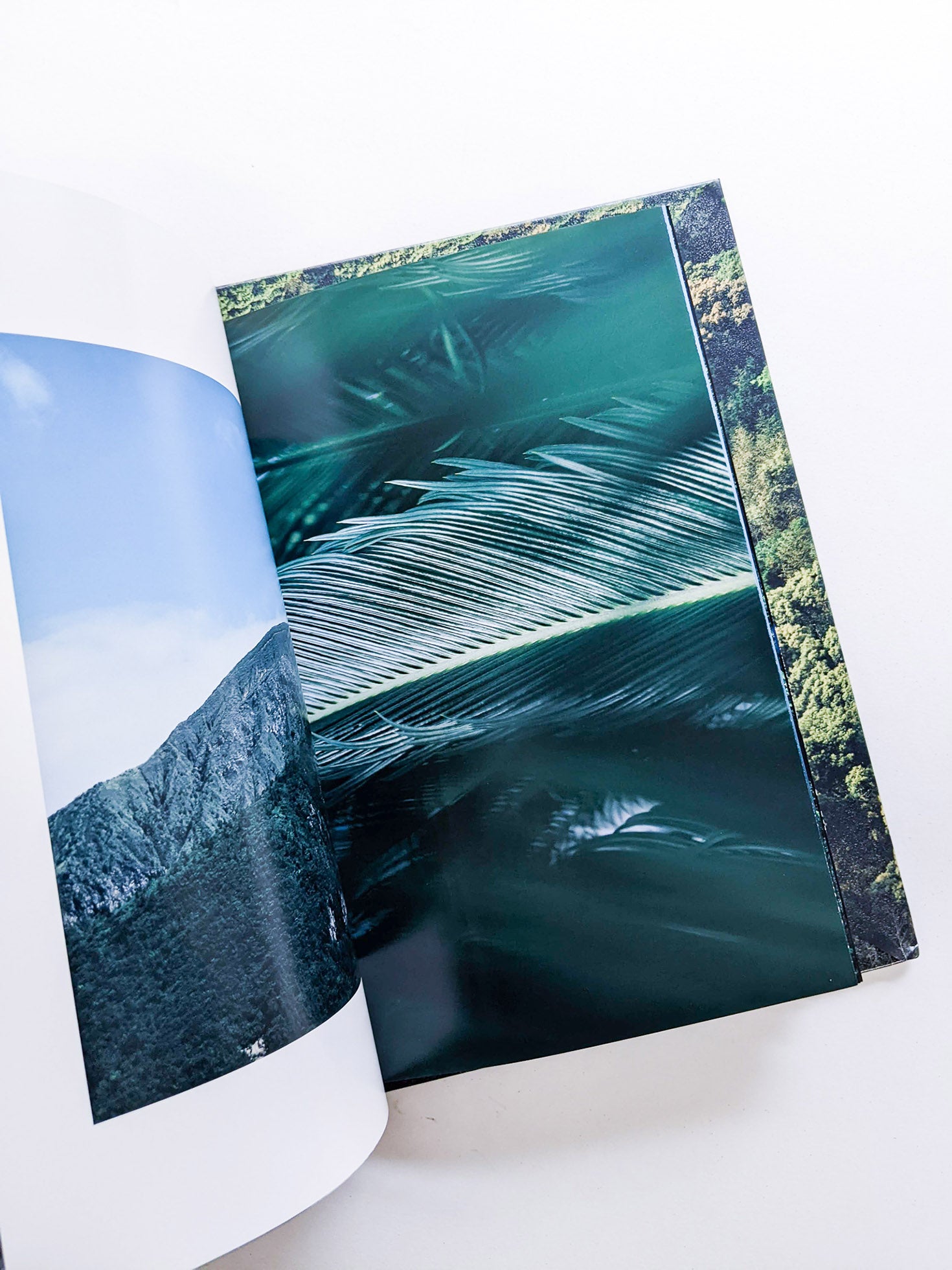 WARP AND WOOF / Hiroyuki Takenouchi