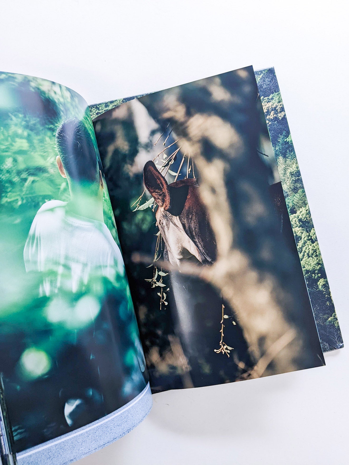 WARP AND WOOF / Hiroyuki Takenouchi