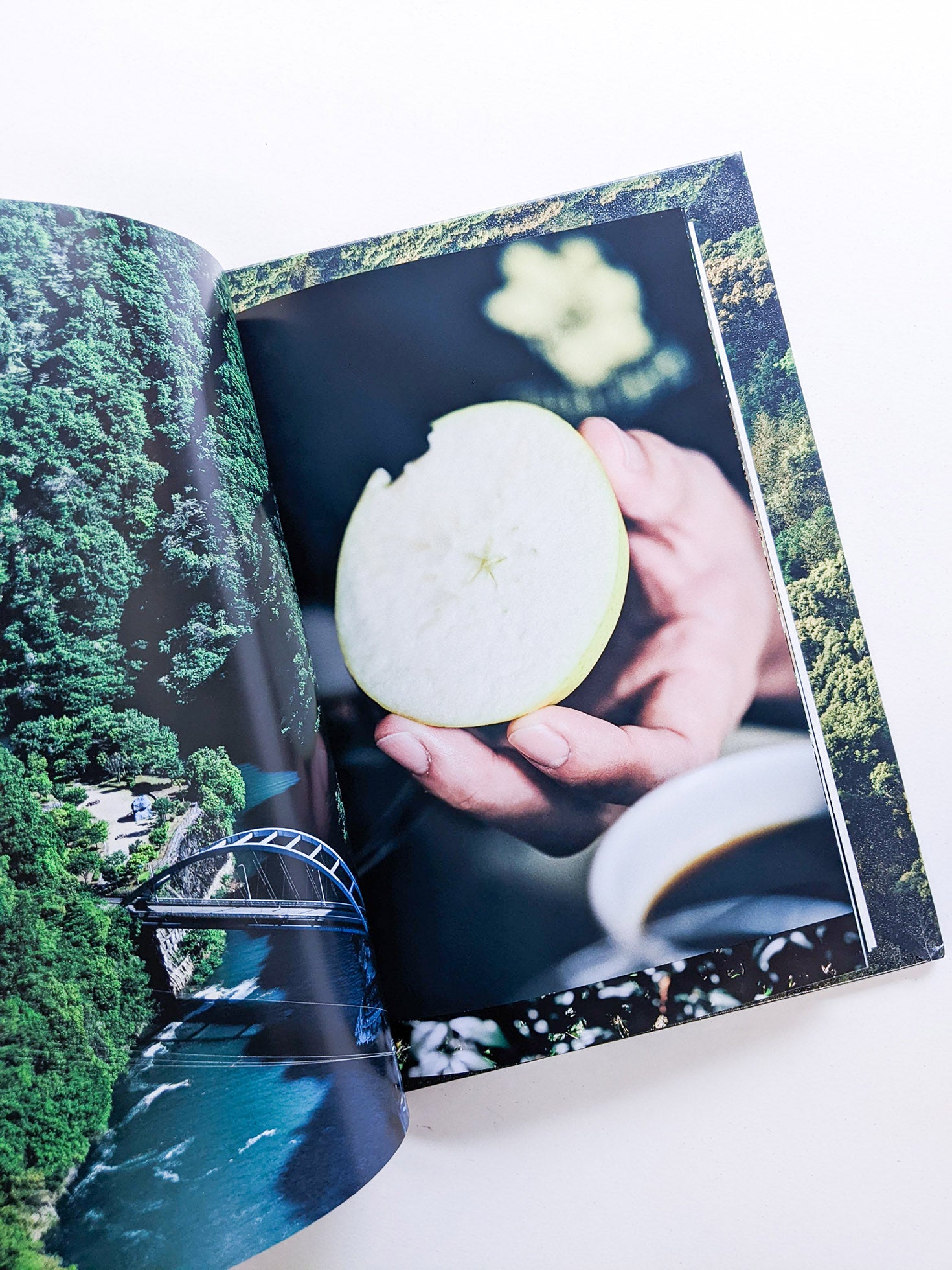 WARP AND WOOF / 竹之内祐幸