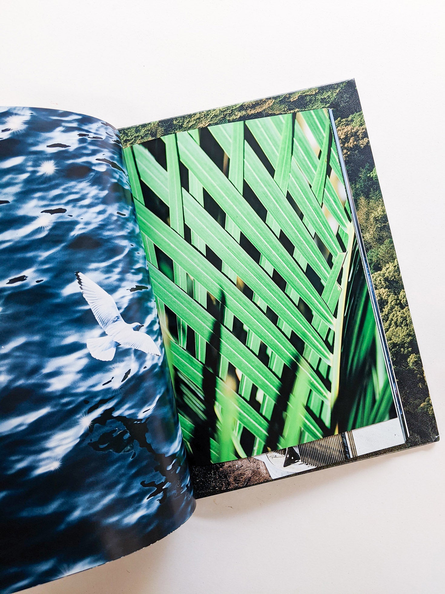 WARP AND WOOF / Hiroyuki Takenouchi