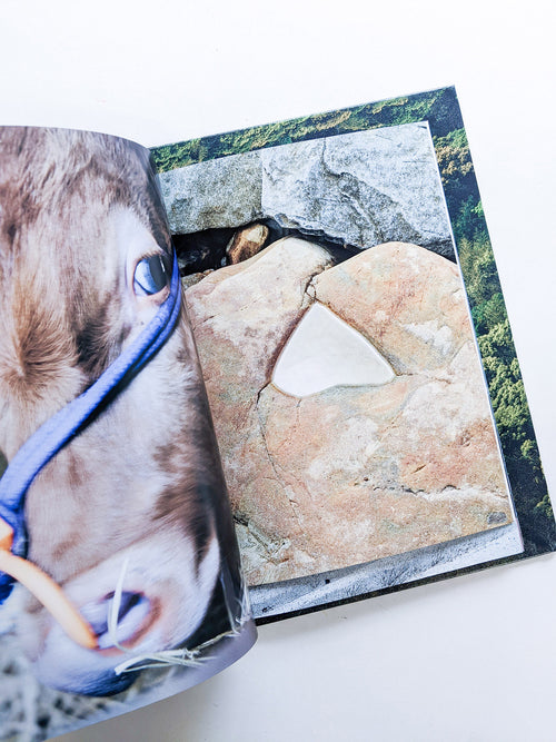 WARP AND WOOF / Hiroyuki Takenouchi