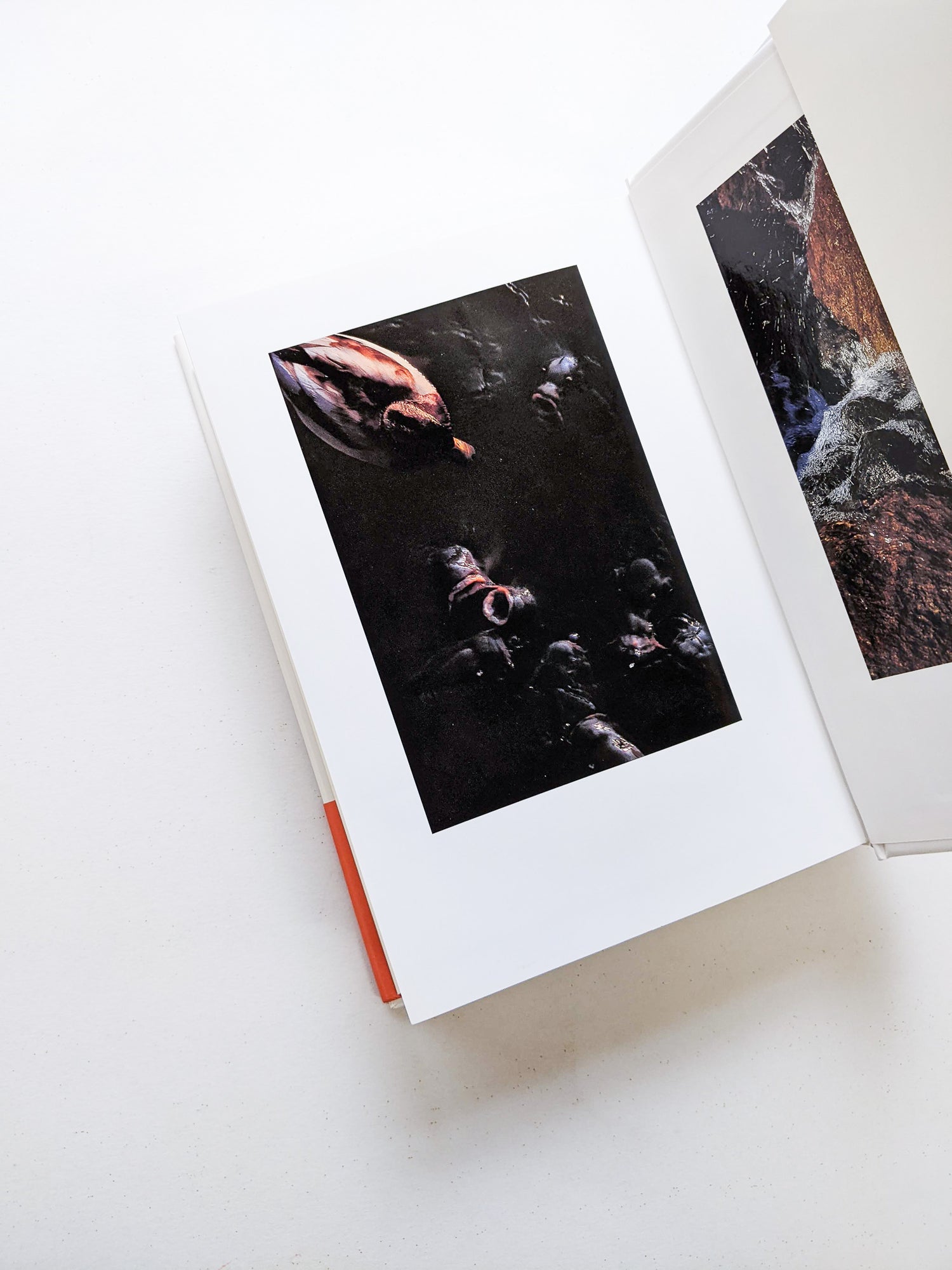 見続ける涯に火が… 批評集成1965-1977 / 中平卓馬