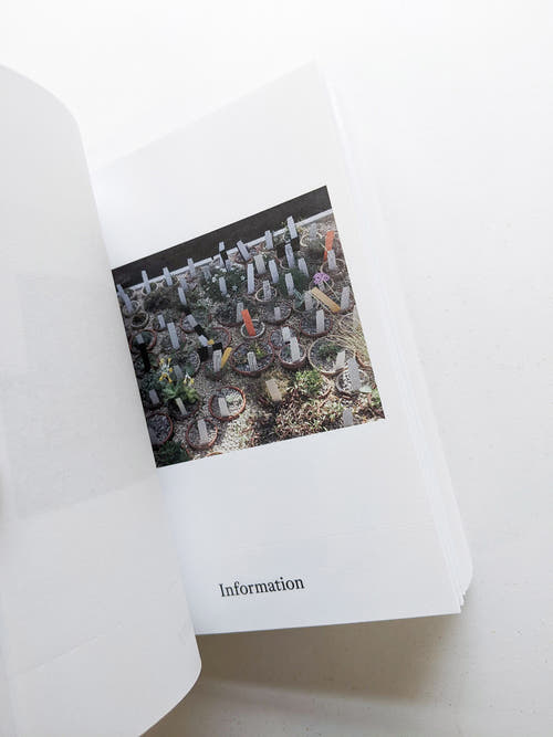 Dictionary / Anne Geene & Arjan de Nooy