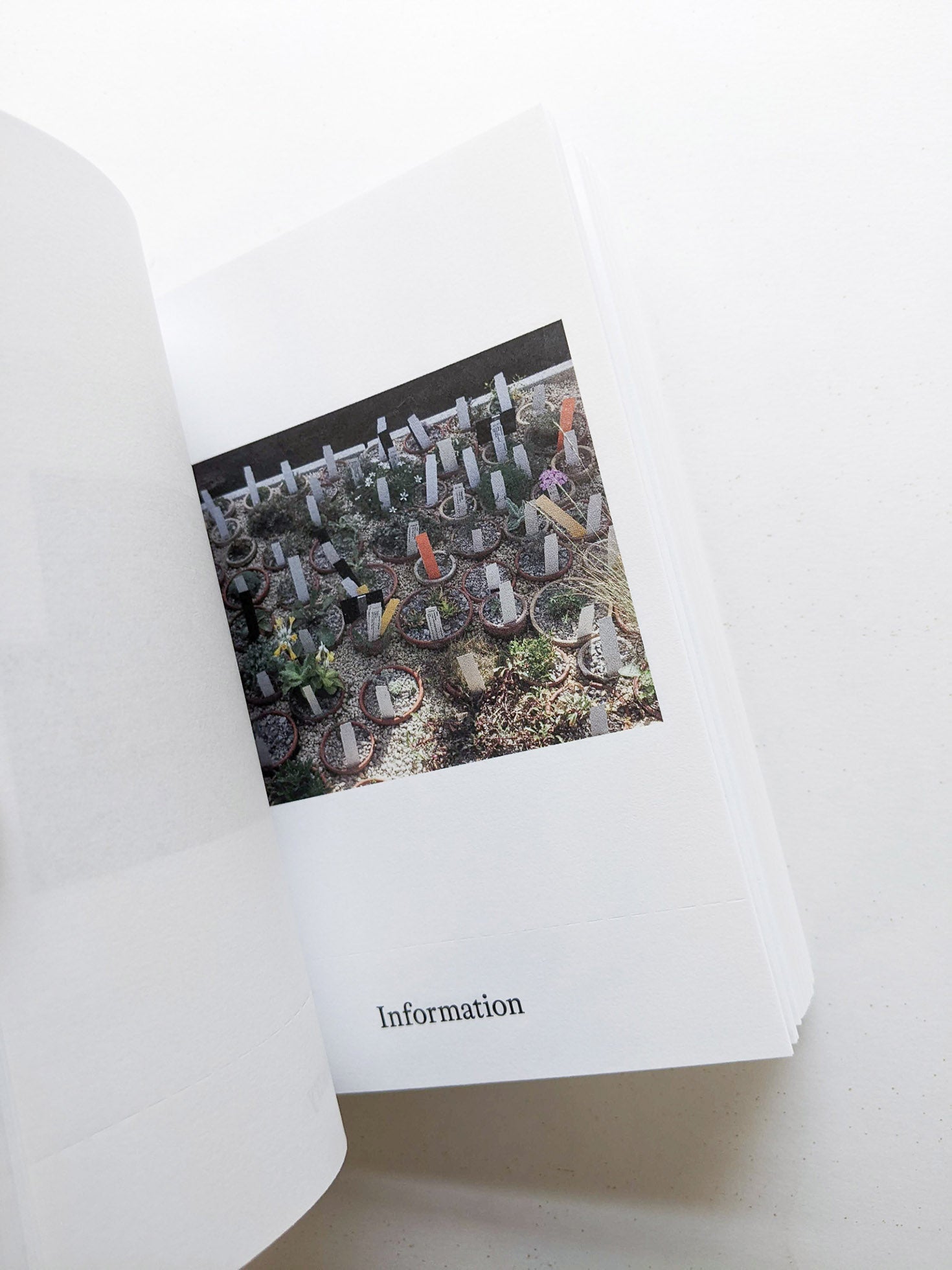 Dictionary / Anne Geene & Arjan de Nooy