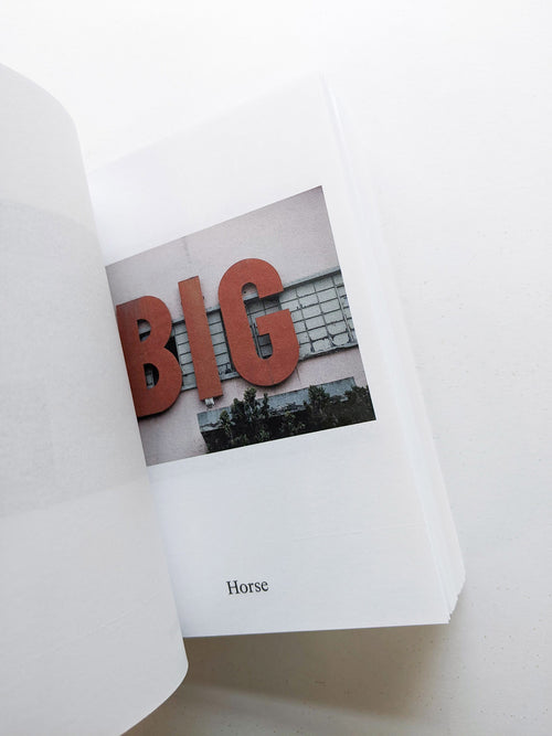 Dictionary / Anne Geene & Arjan de Nooy