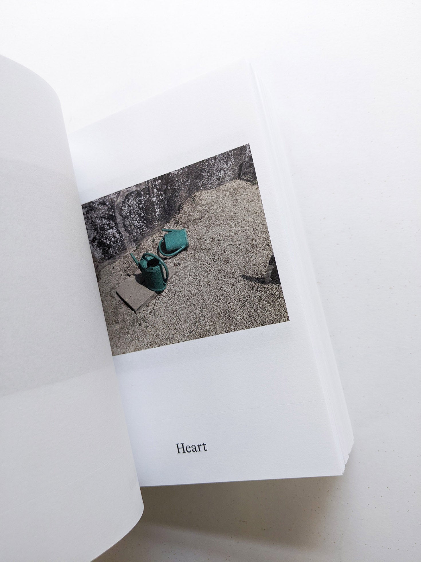 Dictionary / Anne Geene & Arjan de Nooy