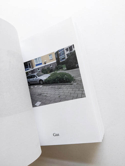 Dictionary / Anne Geene & Arjan de Nooy