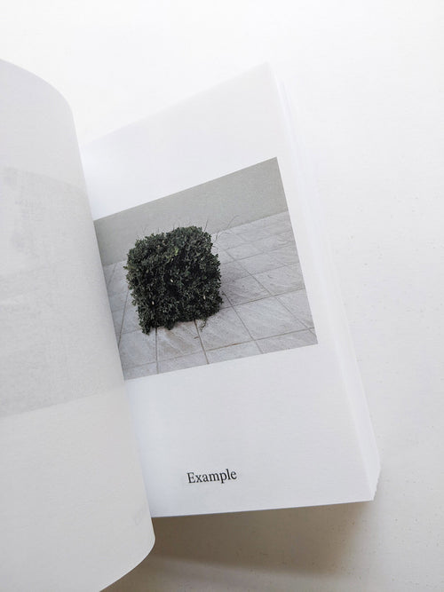 Dictionary / Anne Geene & Arjan de Nooy