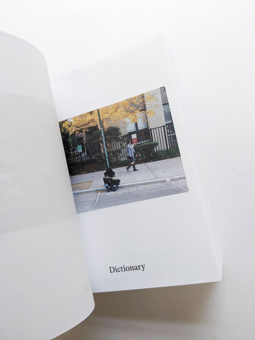 Dictionary / Anne Geene & Arjan de Nooy